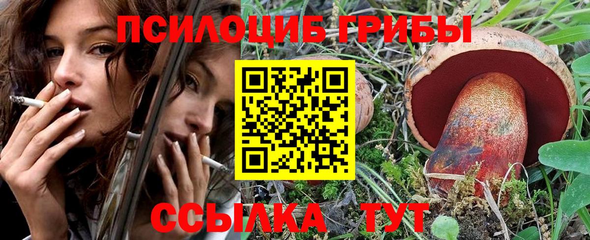 Псилоцибиновые грибы Psilocybine cubensis  Вход с VPN  Чапаевск 