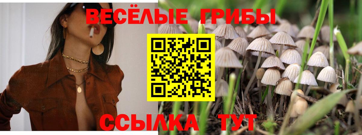 Псилоцибиновые грибы мухоморы Чапаевск